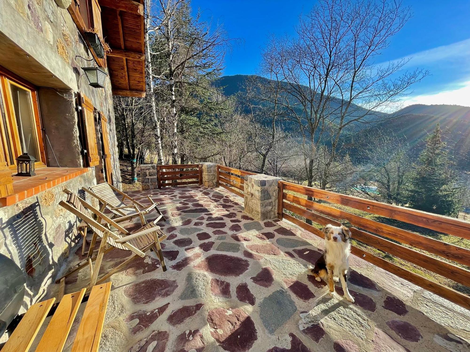 Chalet Le Tilleul Valdeblore Eksteriør bilde